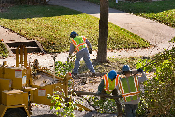 Mulching Services in Seneca, SC